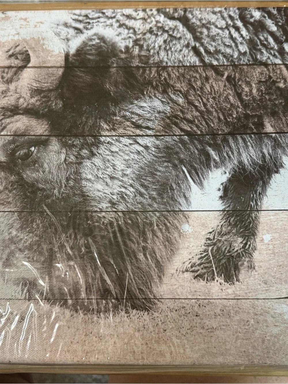 KLVOS 3 pcs Rustic Bison Wall Art - Neutral Tones